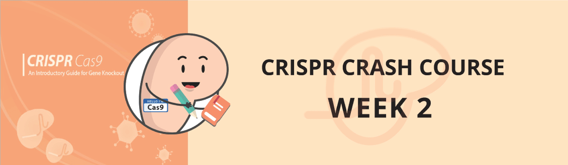 CRISPR Crash Course Banner Week 2 Banner