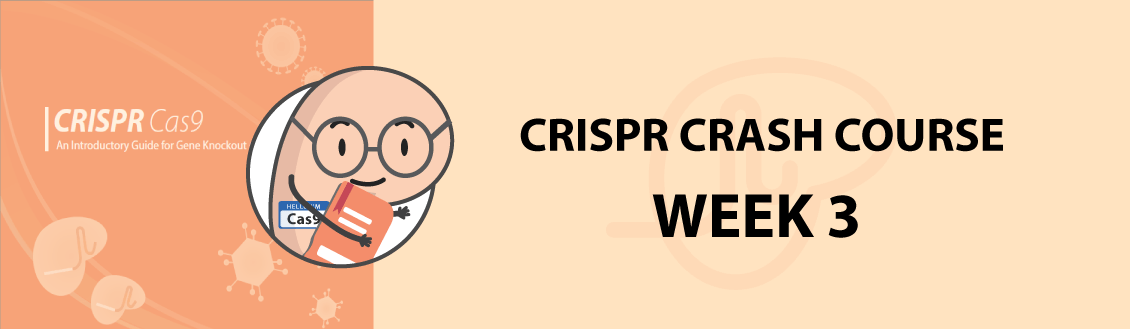 CRISPR Crash Course Banner Week 3 Banner
