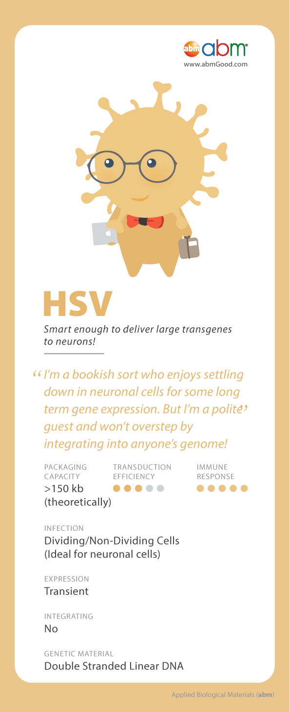 Herpes Simplex Virus (HSV) Character Card